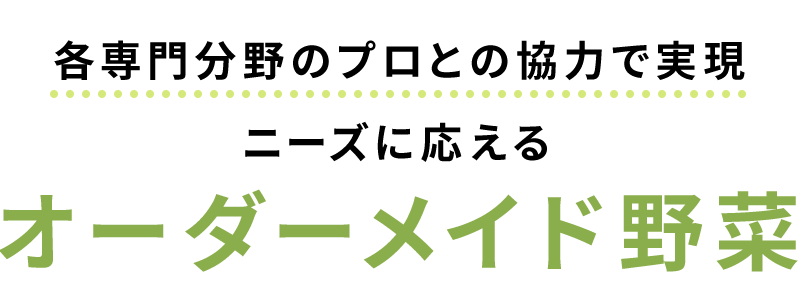 各専門分野のプロとの